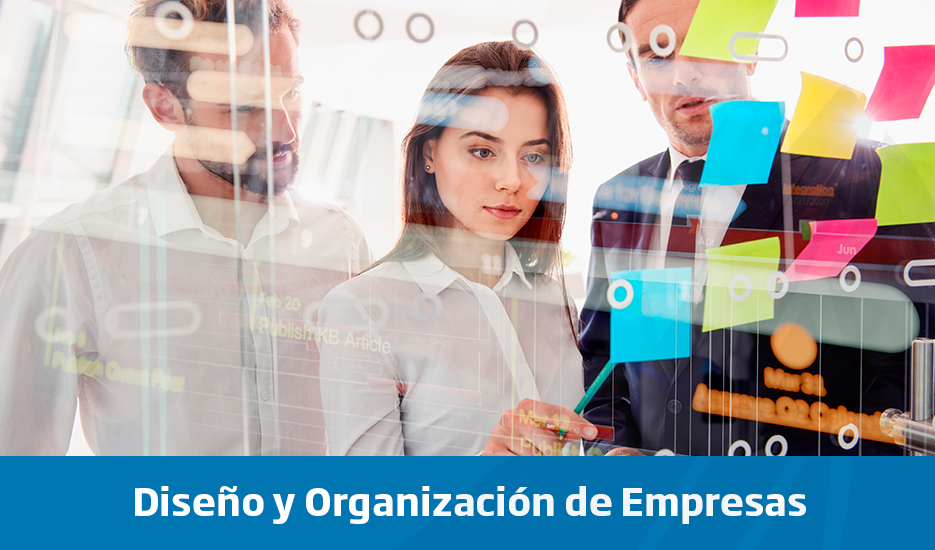 Diseño y Organización de Empresas