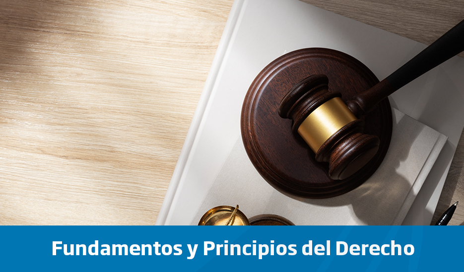 Fundamentos y Principios del Derecho - Septiembre 2024