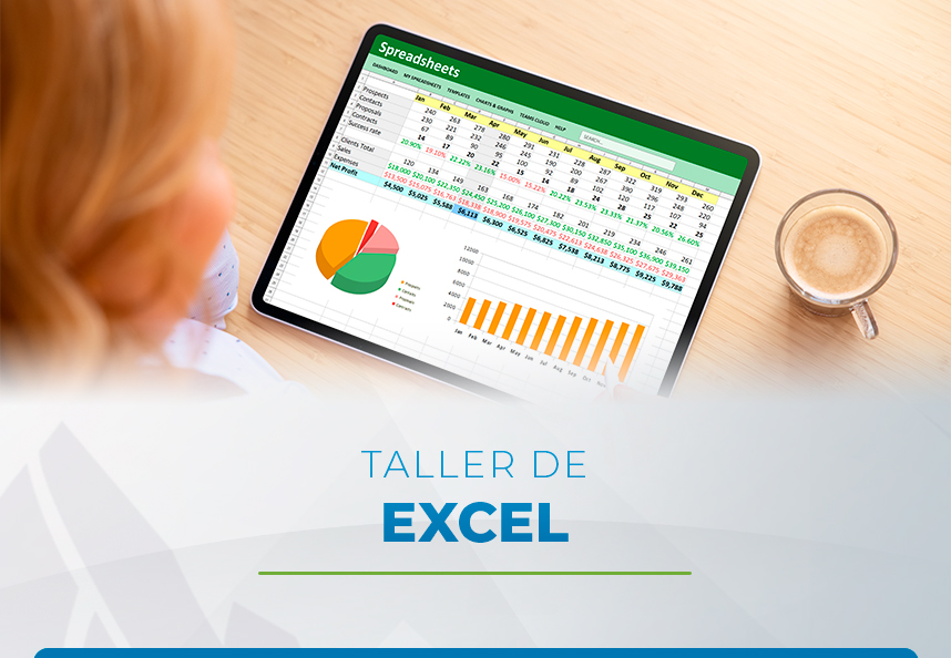 Taller de Excel para la Optimización del Trabajo Profesional -  Febrero 2025