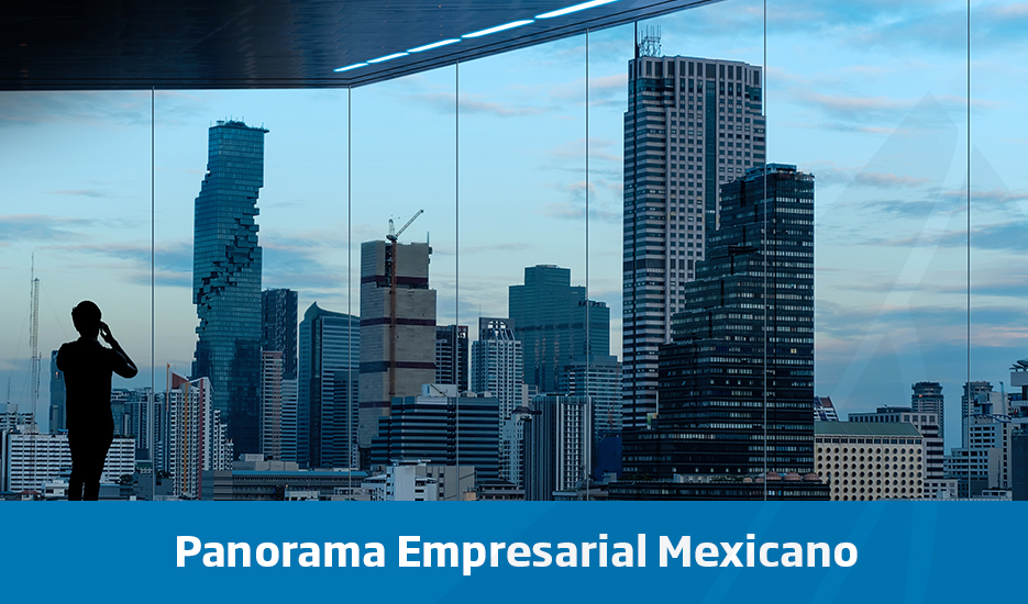 Panorama Empresarial Mexicano copia 1