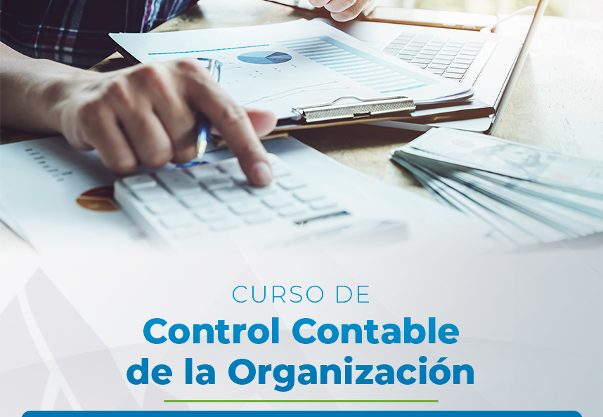 Control Contable de la Organización