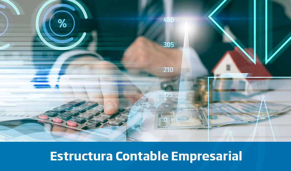 Estructura Contable Empresarial